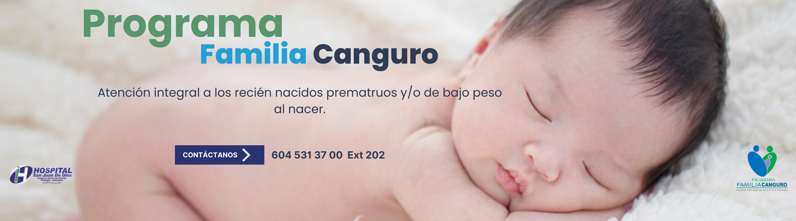 canguro