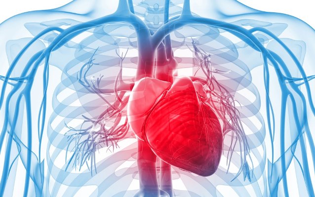 Diagnóstico Cardiovascular