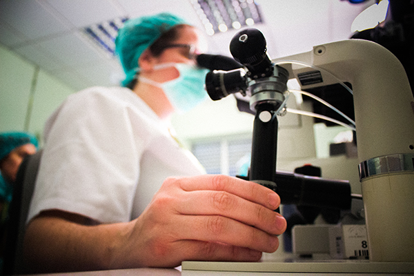 Laboratorio